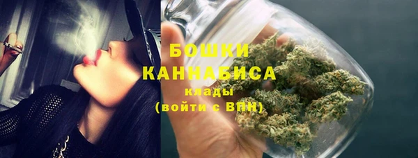 прущие грибы Абдулино
