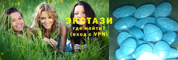 хмурый Алексин