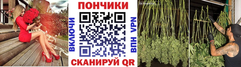 как найти закладки Каменск-Уральский Бошки марихуана Bruce Banner